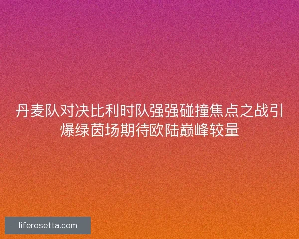 丹麦队对决比利时队强强碰撞焦点之战引爆绿茵场期待欧陆巅峰较量