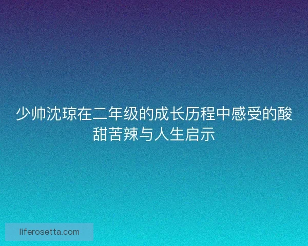 少帅沈琼在二年级的成长历程中感受的酸甜苦辣与人生启示