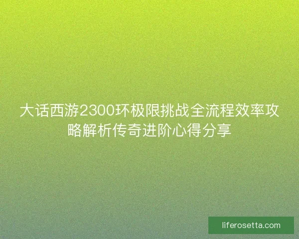 大话西游2300环极限挑战全流程效率攻略解析传奇进阶心得分享